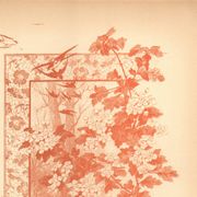 Art Nouveau engraving 1896 - Hawthorn by G. Fraipont. Antique floral plate.