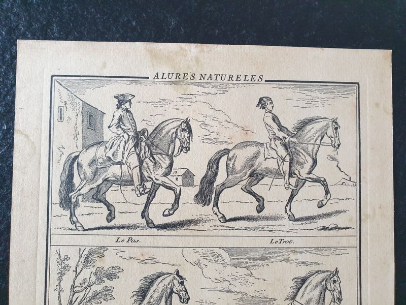 Engraving by Jean Audran (1667-1756) - After Charles Parrocel (1688-1752) - Engraving titled "Alures