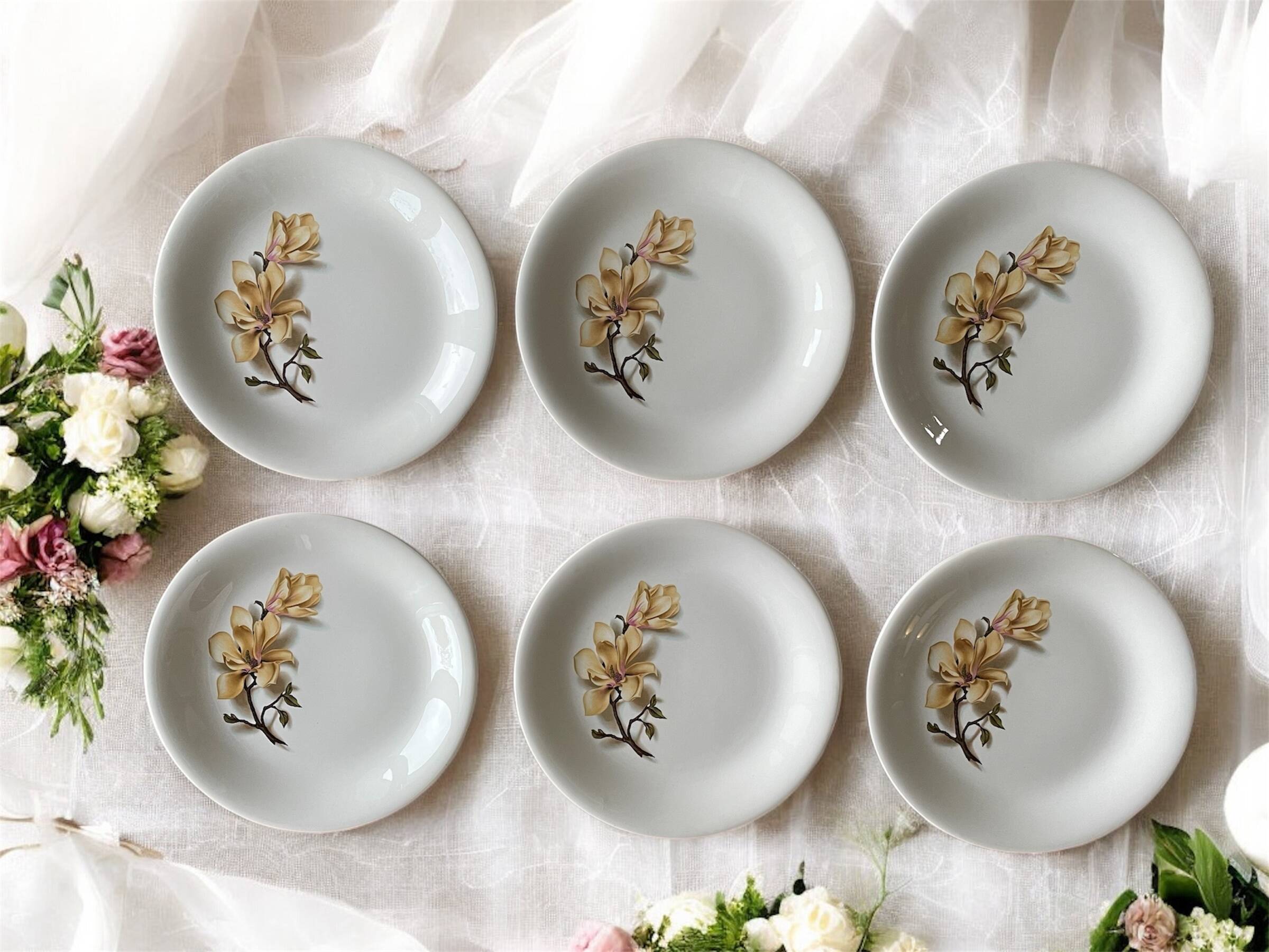 6 antique flat plates in Saint-Amand earthenware (Nord)