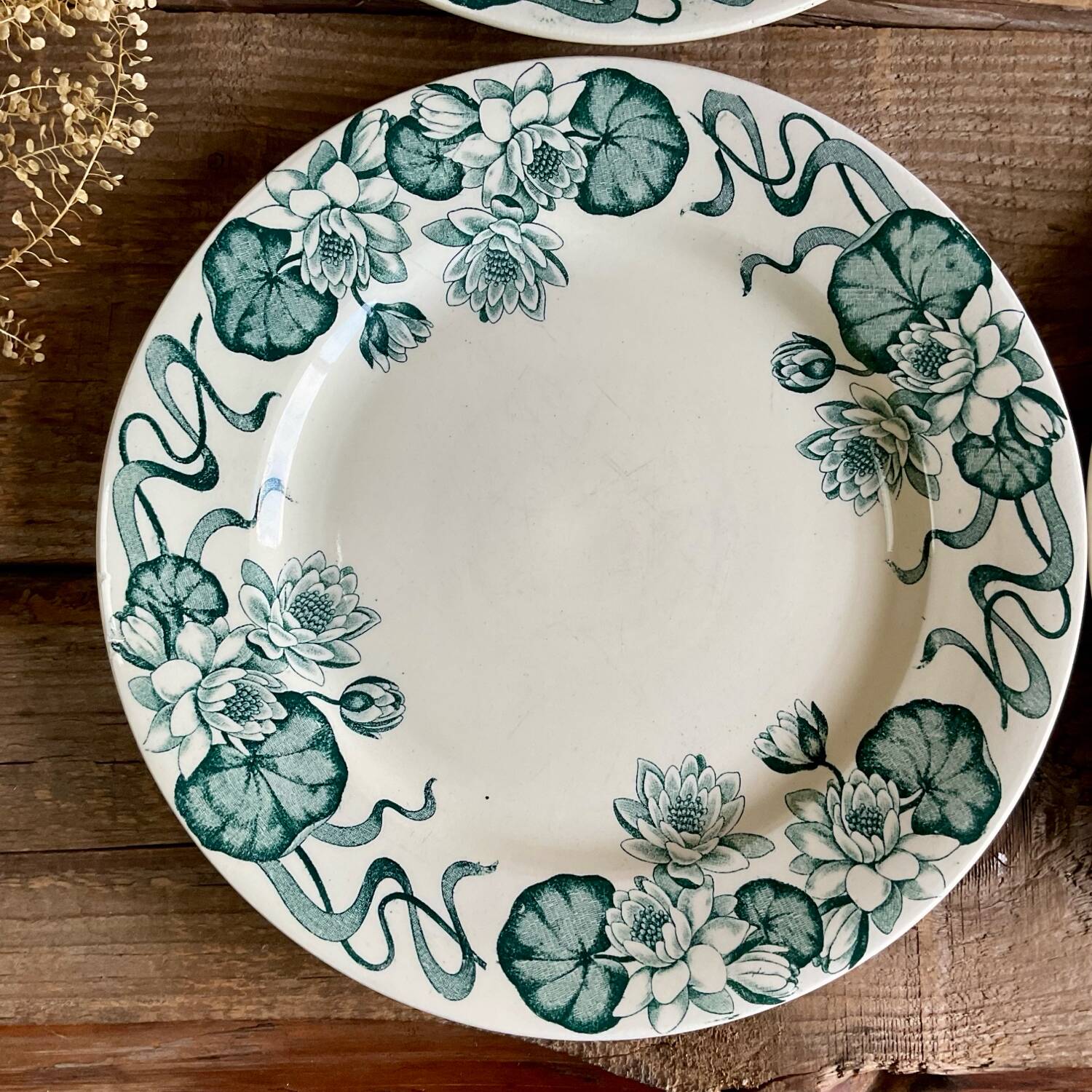 4 Nénuphar plates R & A Salins