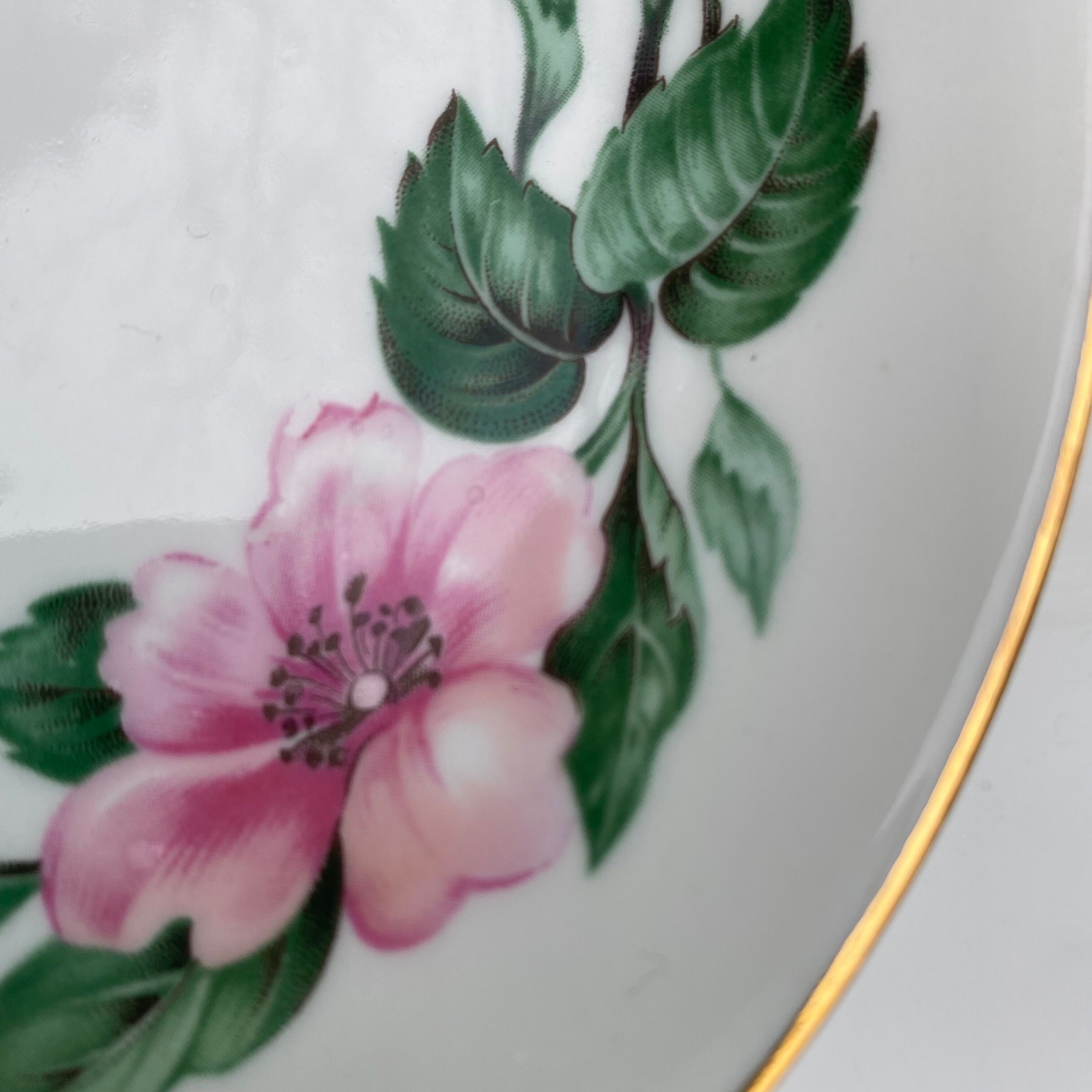 10 porcelain dessert plates