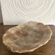 Cup, centerpiece in alabaster, Italy