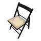 Folding Chair with Cane