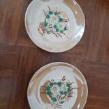 Miniature painted flower porcelain service - dinette