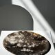 Dish in petrified wood