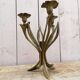 Brass art nouveau chandeliers