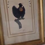 Bird engraving