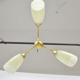Lustre, années 1950
