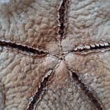 Starfish