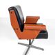 'Albenga' Armchair by Gustavo Pulitzer Finali for Arflex, 1955