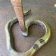Cobra candlestick in Latvian