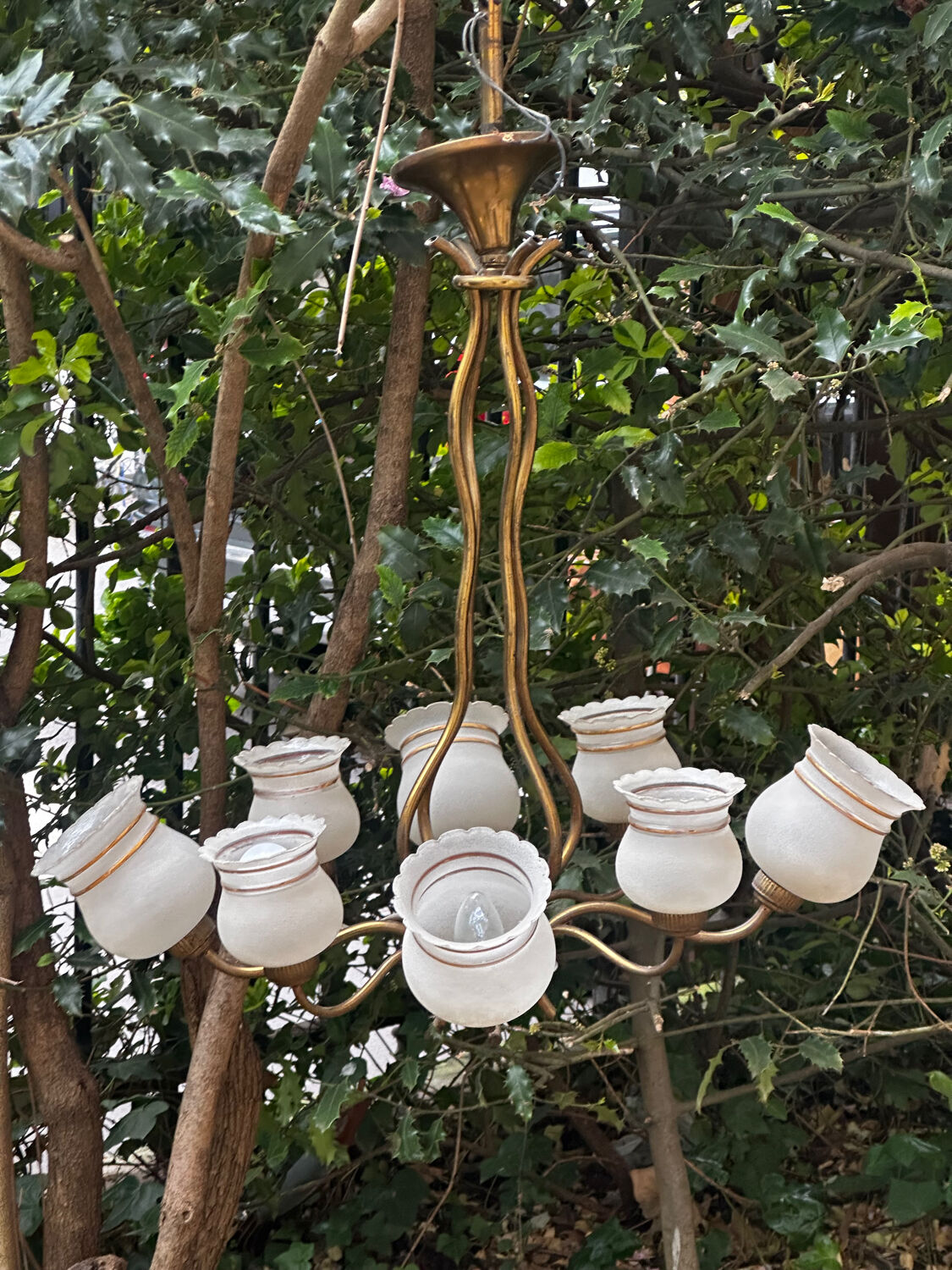 Vintage Lustre Brass and Frosted Glass with White and Gold Large Grains 8 Lights