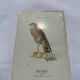 Planche Botanique Gravure oiseaux naturaliste  19eme recto verso  A