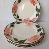 Villeroy And Boch Wild Rose Plates