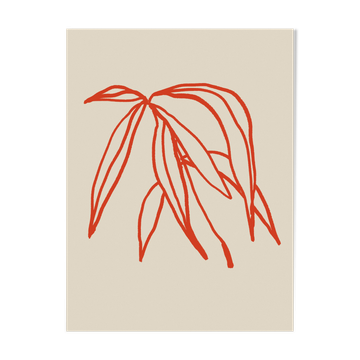 Botanical illustration giclee print, 50x70