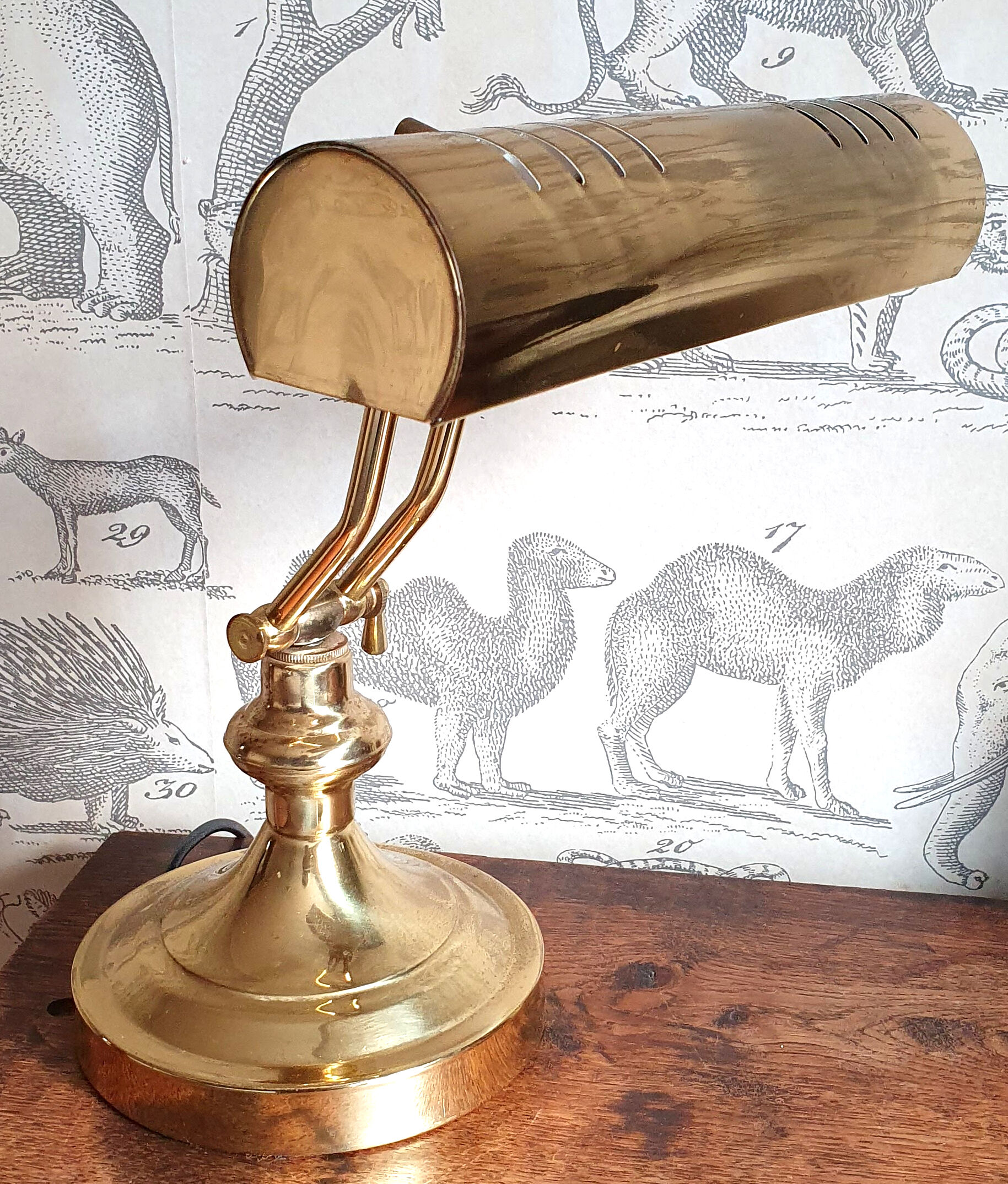 Notary or banker's lamp in brass