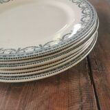 Serving of 6 plates in iron earth, Salins