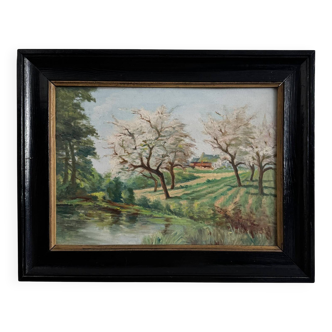 Oil on panel 20th century watercourse trees in bloom blackened wooden frame