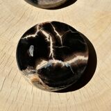 Set of 4 fossilized wooden coasters