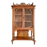 Showcase library old Art Nouveau era