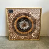 Frame under glass butterfly wings