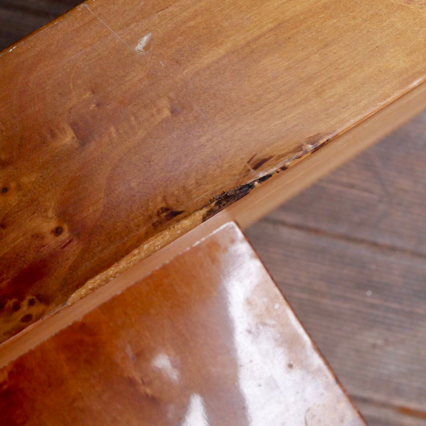 Table basse en loupe d’orme Roche Bobois