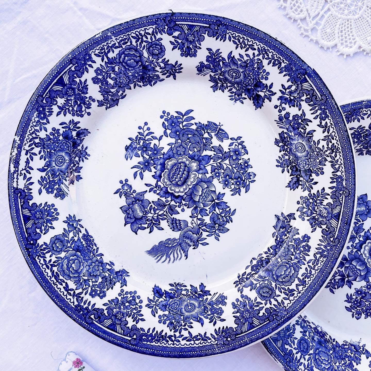 Duo of 2 flat plates Portuguese iron earth