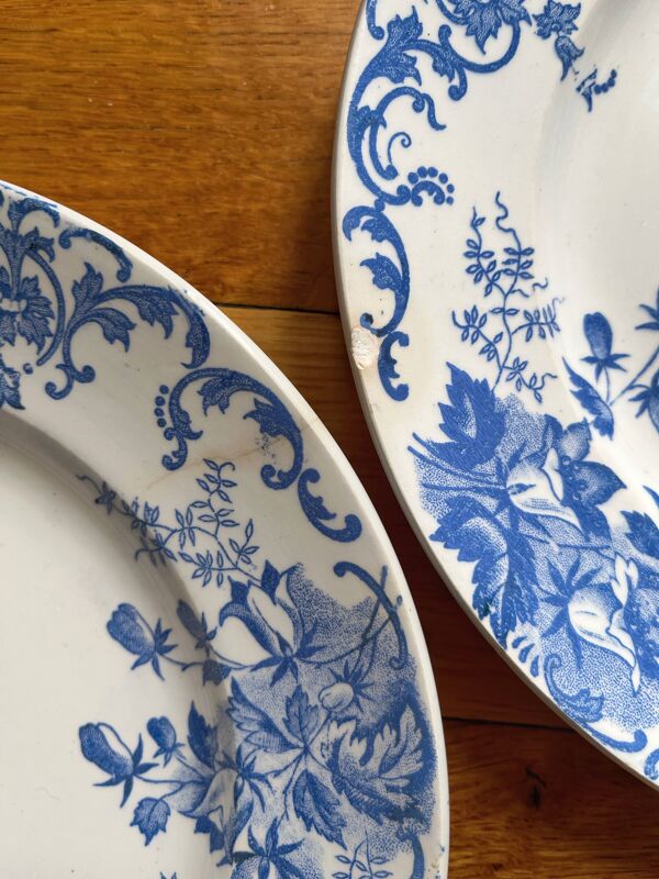 12 petites assiettes plates  ''Campanule'' Saint Amand et Hamage