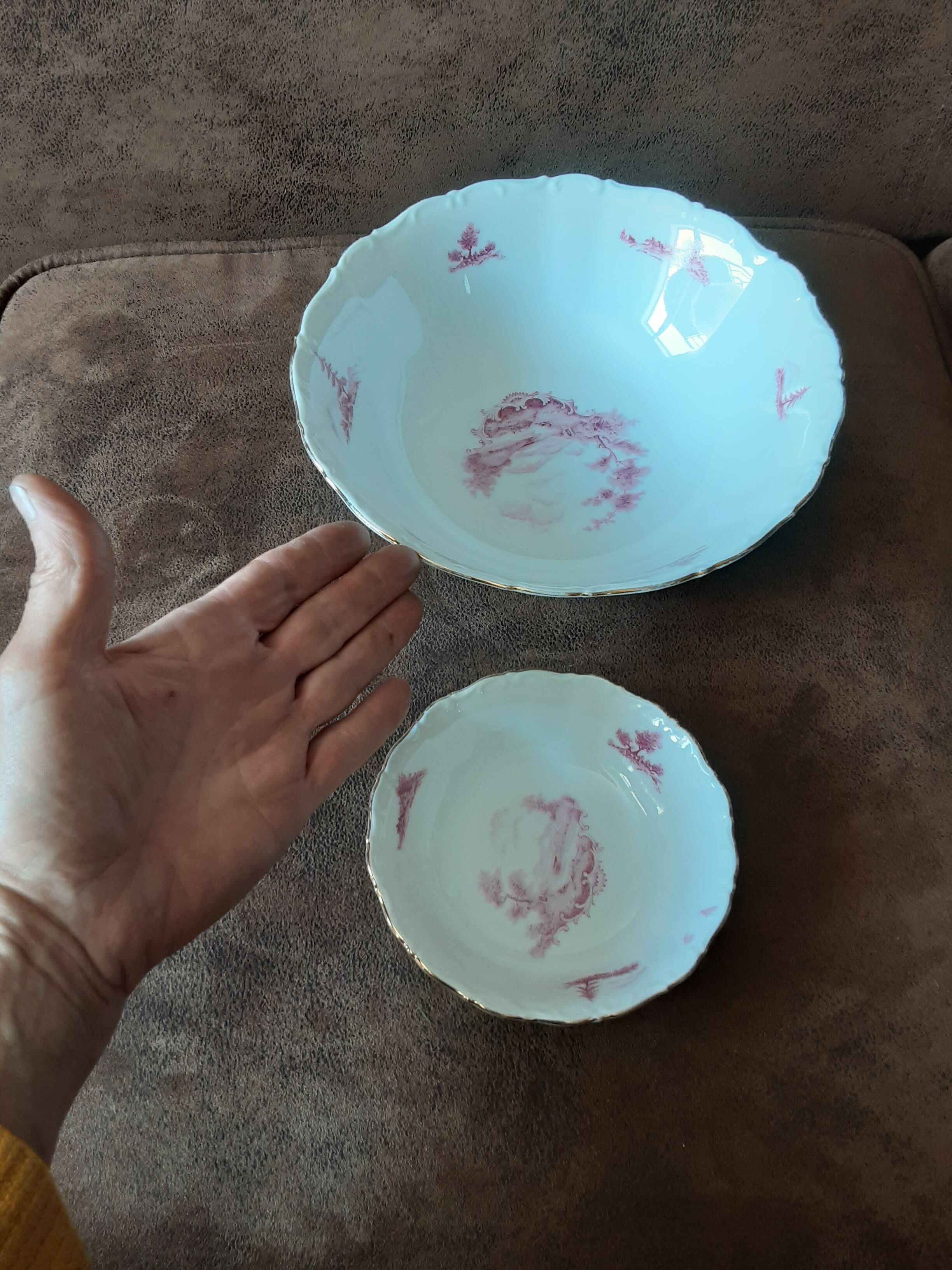 Bavaria porcelain cup and 6 bowl set