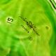 Sarreguemines barbotine, butter dish, pocket emptier, vine leaf