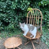 Rattan armchair and pouf