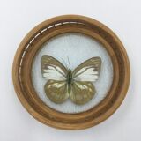 Wicker and butterflies coasters