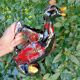 Pichet Duck Vallauris