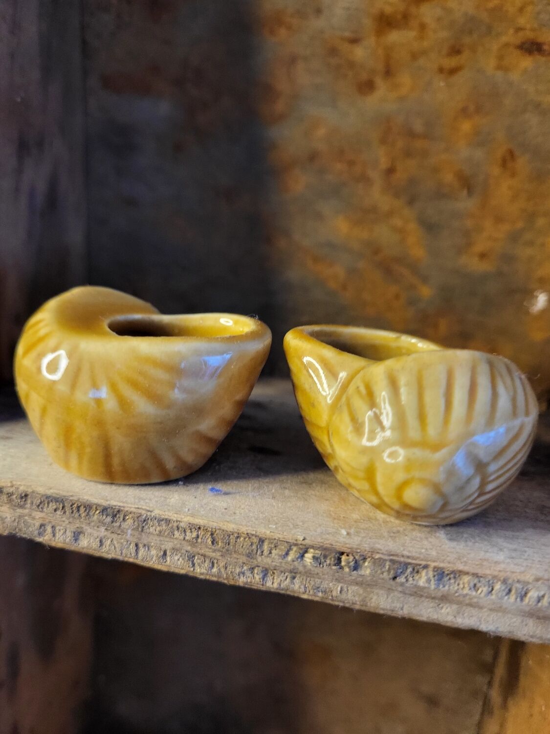 Set of 15 snails shells in ceramic