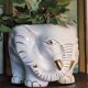Elephant plant pot