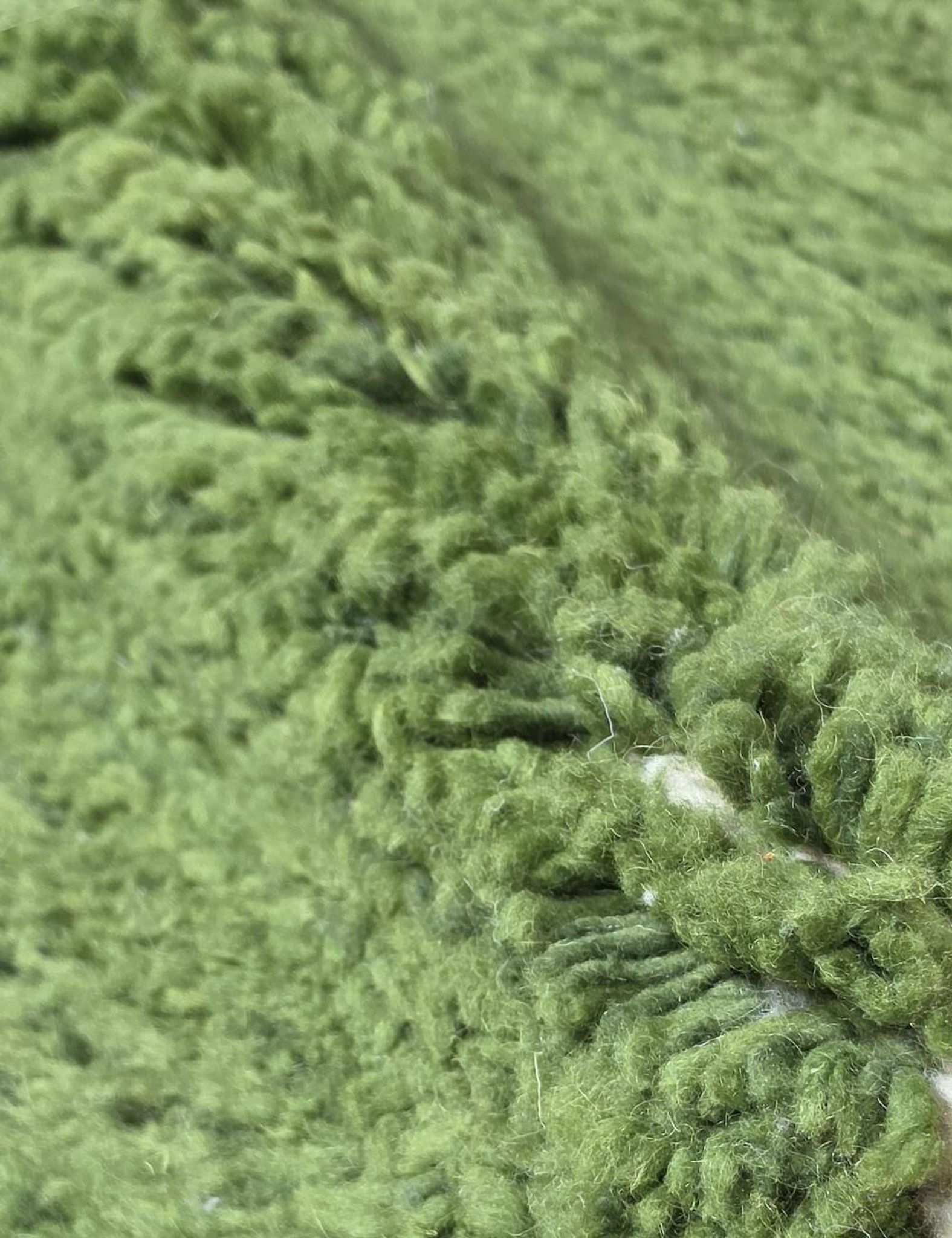Contemporary Green Carpet - 292 x 207 cm