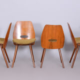 Set of four mid-century walnut chairs by Frantisek Jirak, Tatra Nabytok, Czechia, 1950s