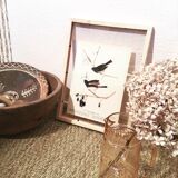 Double-sided ornithological setting
