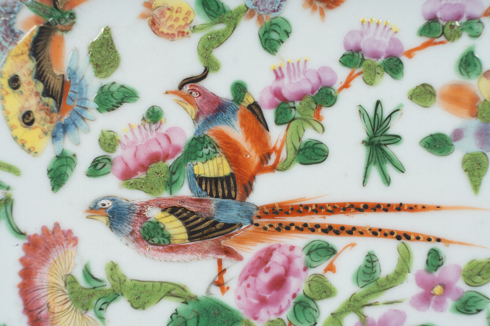 Porcelain plate XIXth Canton with floral decoration birds and butterflies