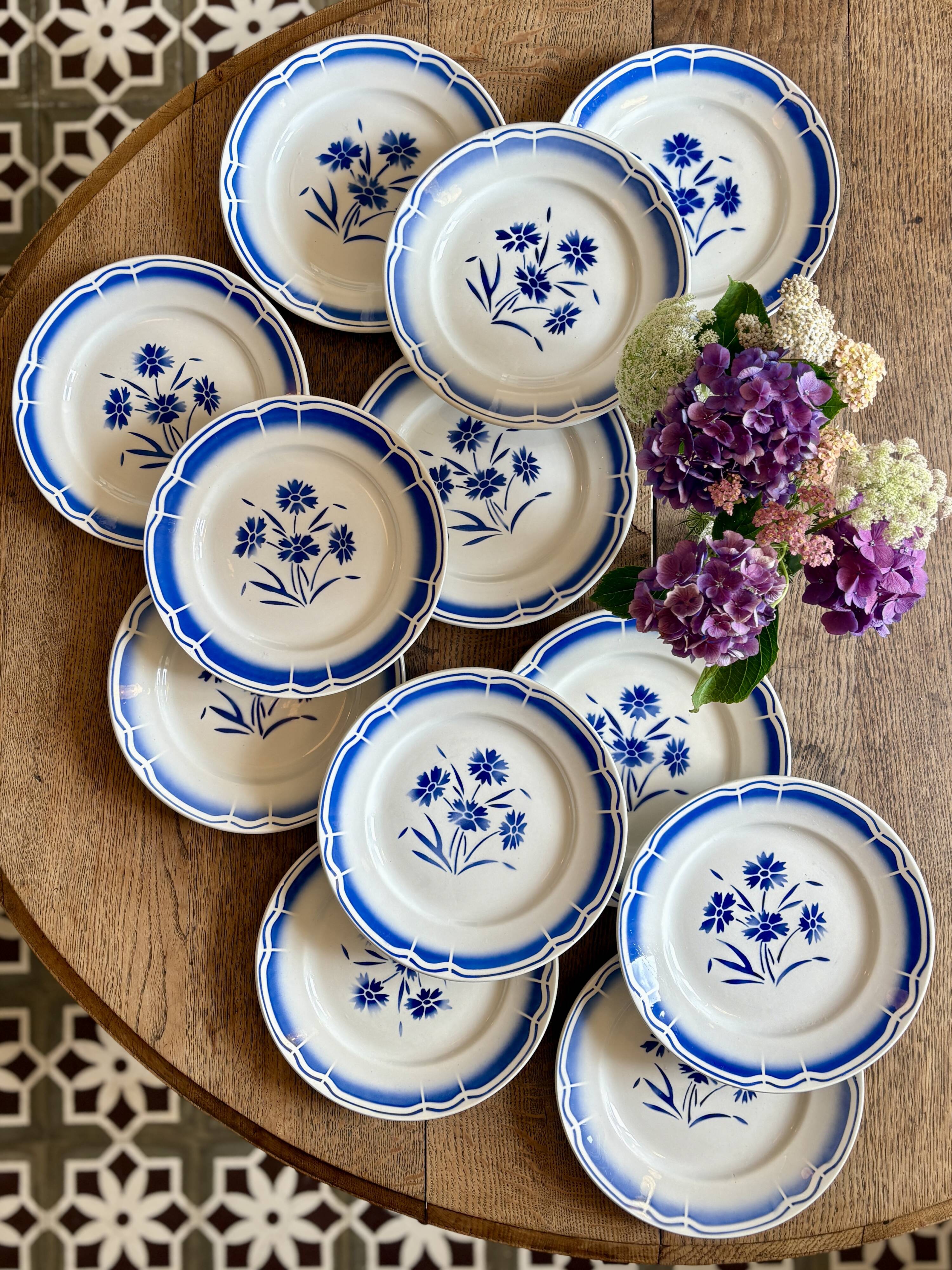 Set of 12 antique flat plates, blue flower decorations