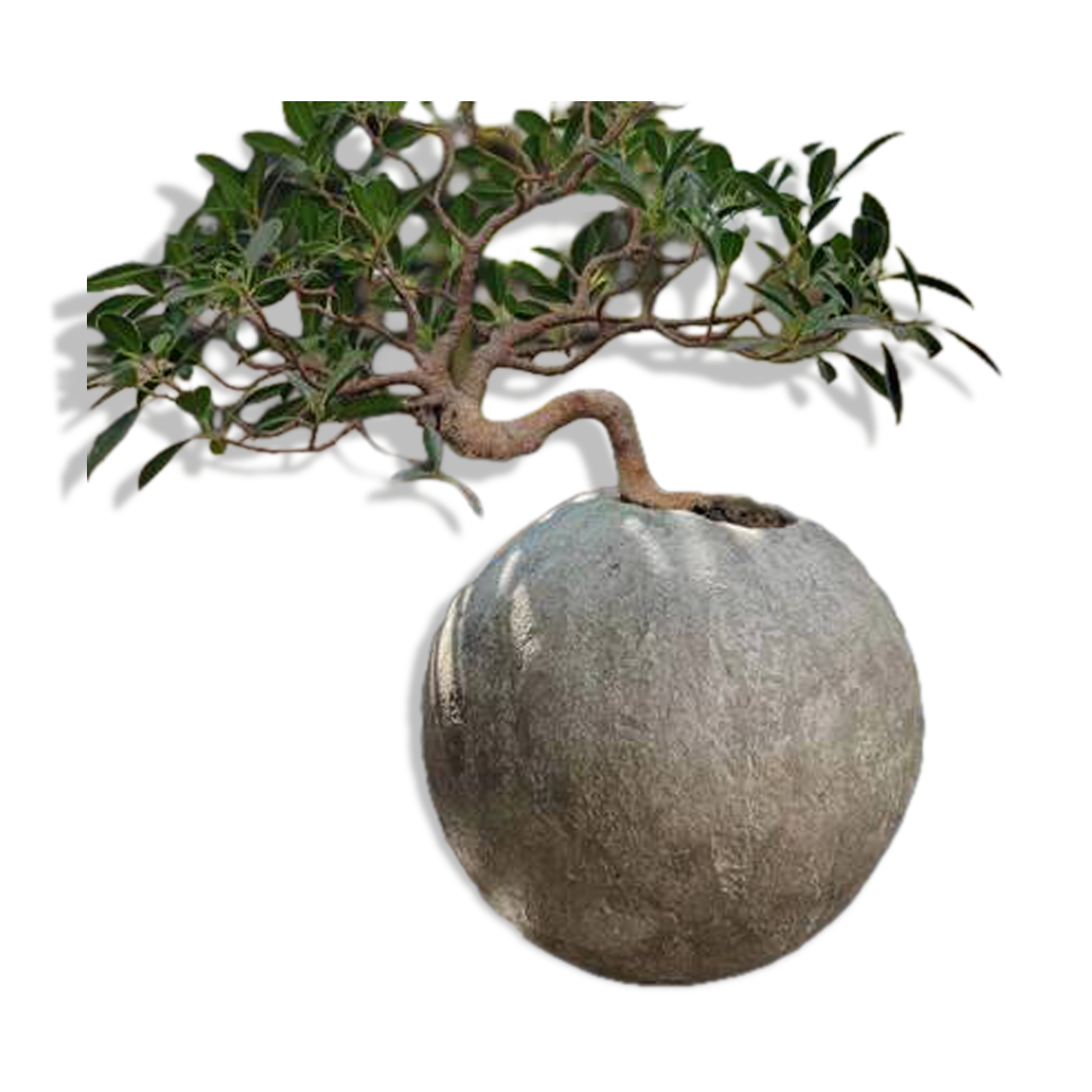 Kikai - artisanal pot in mineral cement