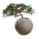 Kikai - artisanal pot in mineral cement