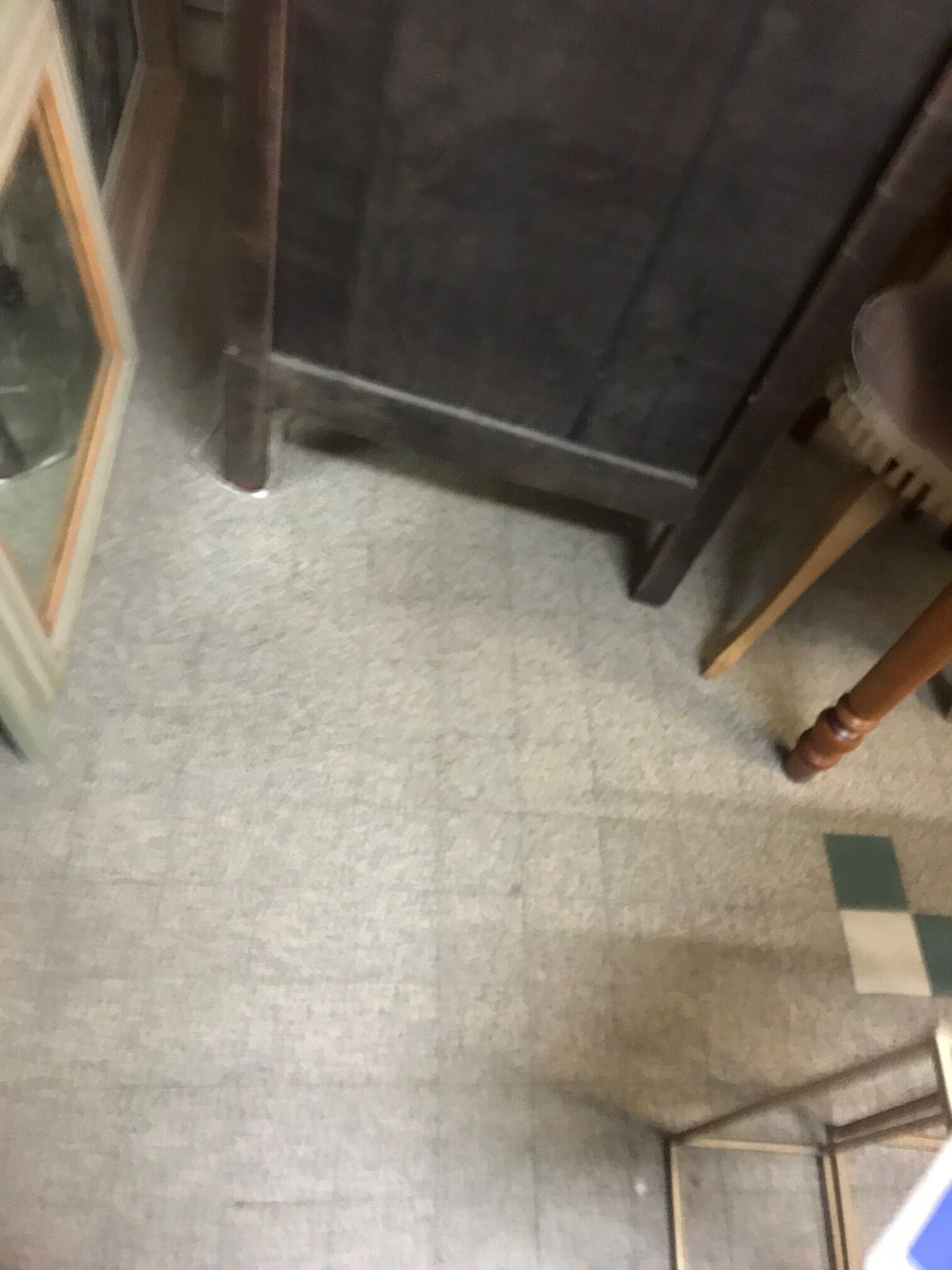 Norman style chicory hosiery chêne massif