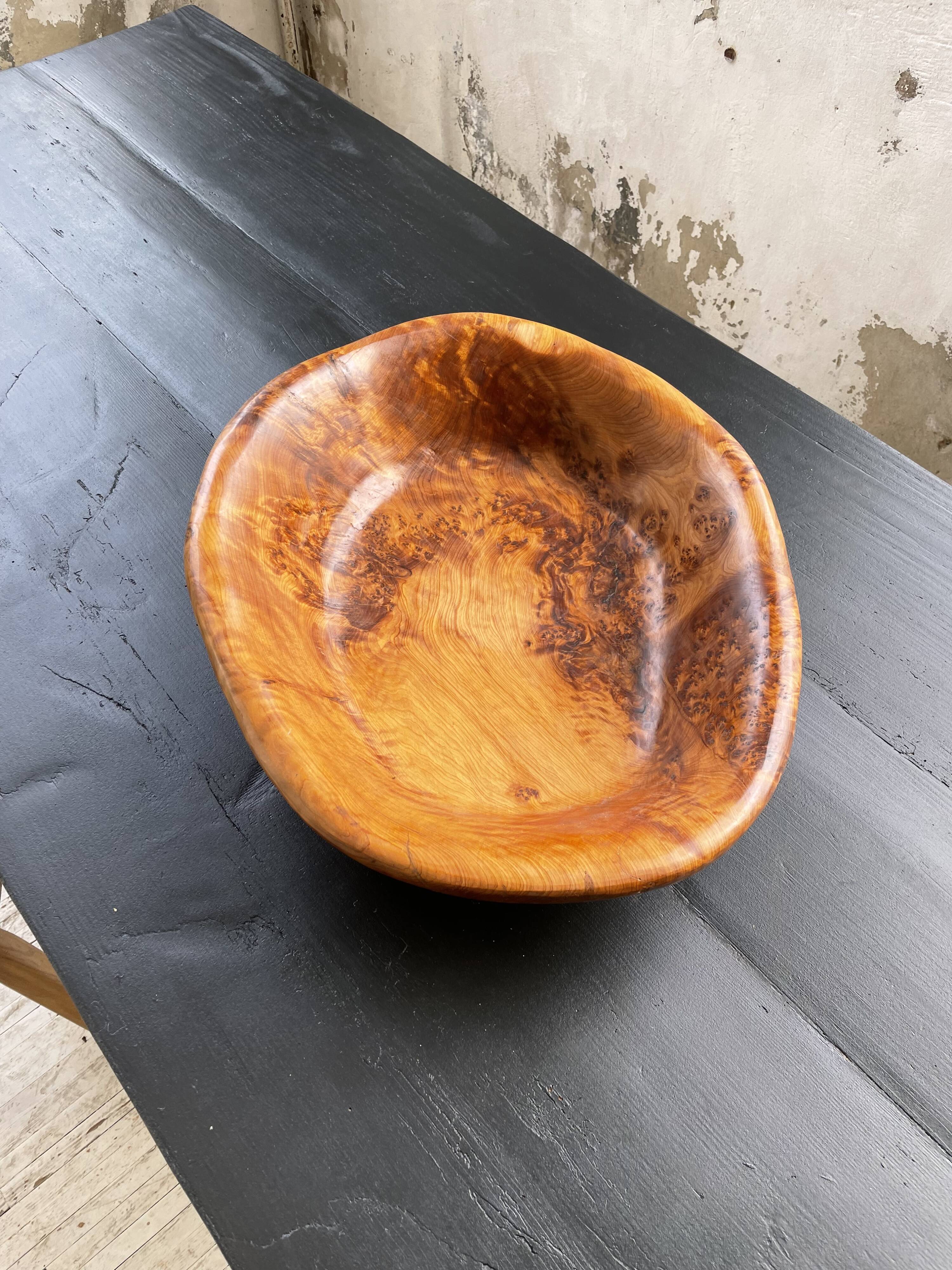 XL thuja root wooden dish