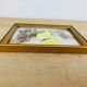 Vintage naturalized butterfly frame 19.5 x 14.5 cm