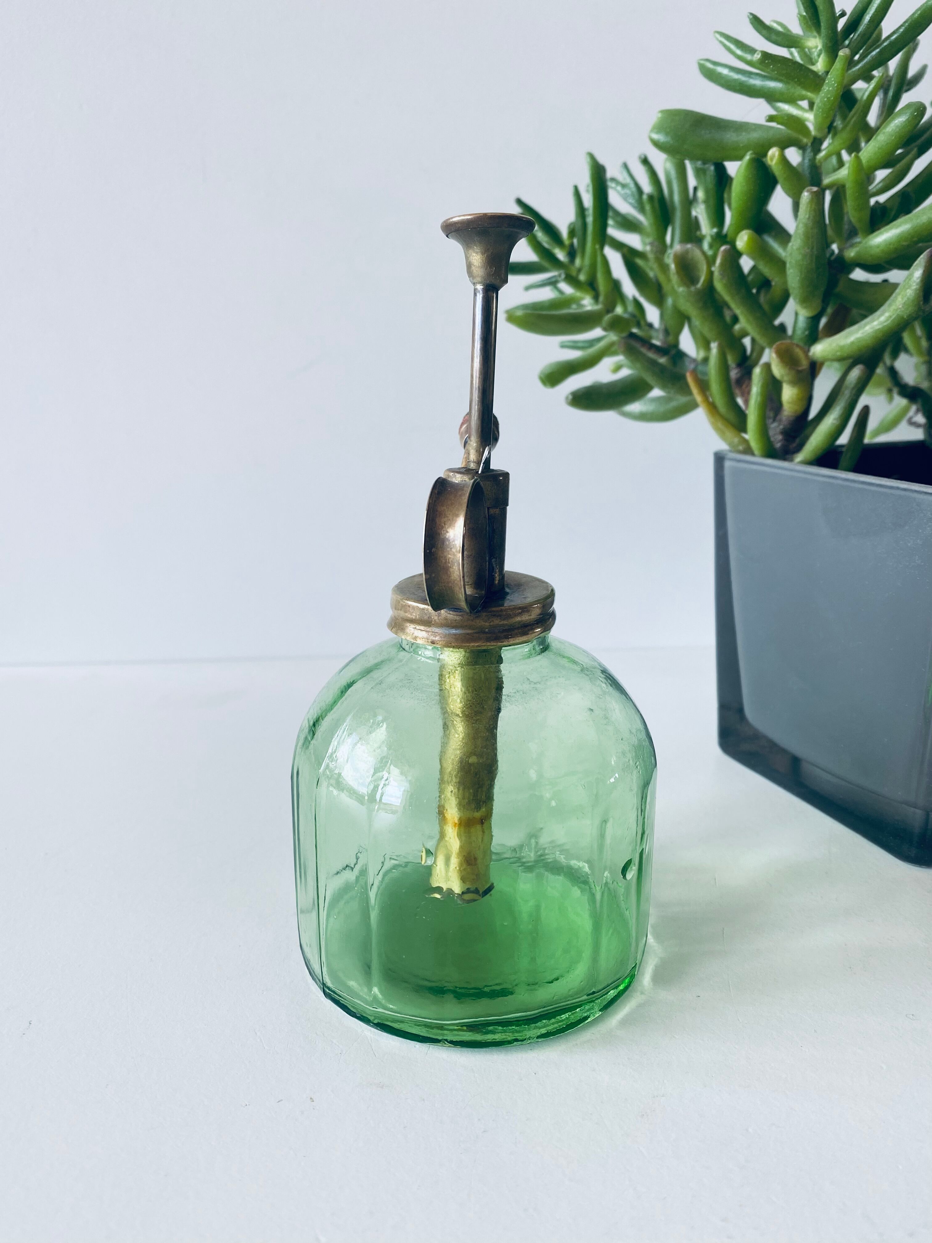 Vintage mist for indoor plants
