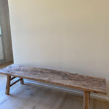 Old bench in elm
