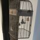 Metal cage