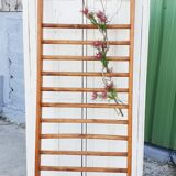 Espalier