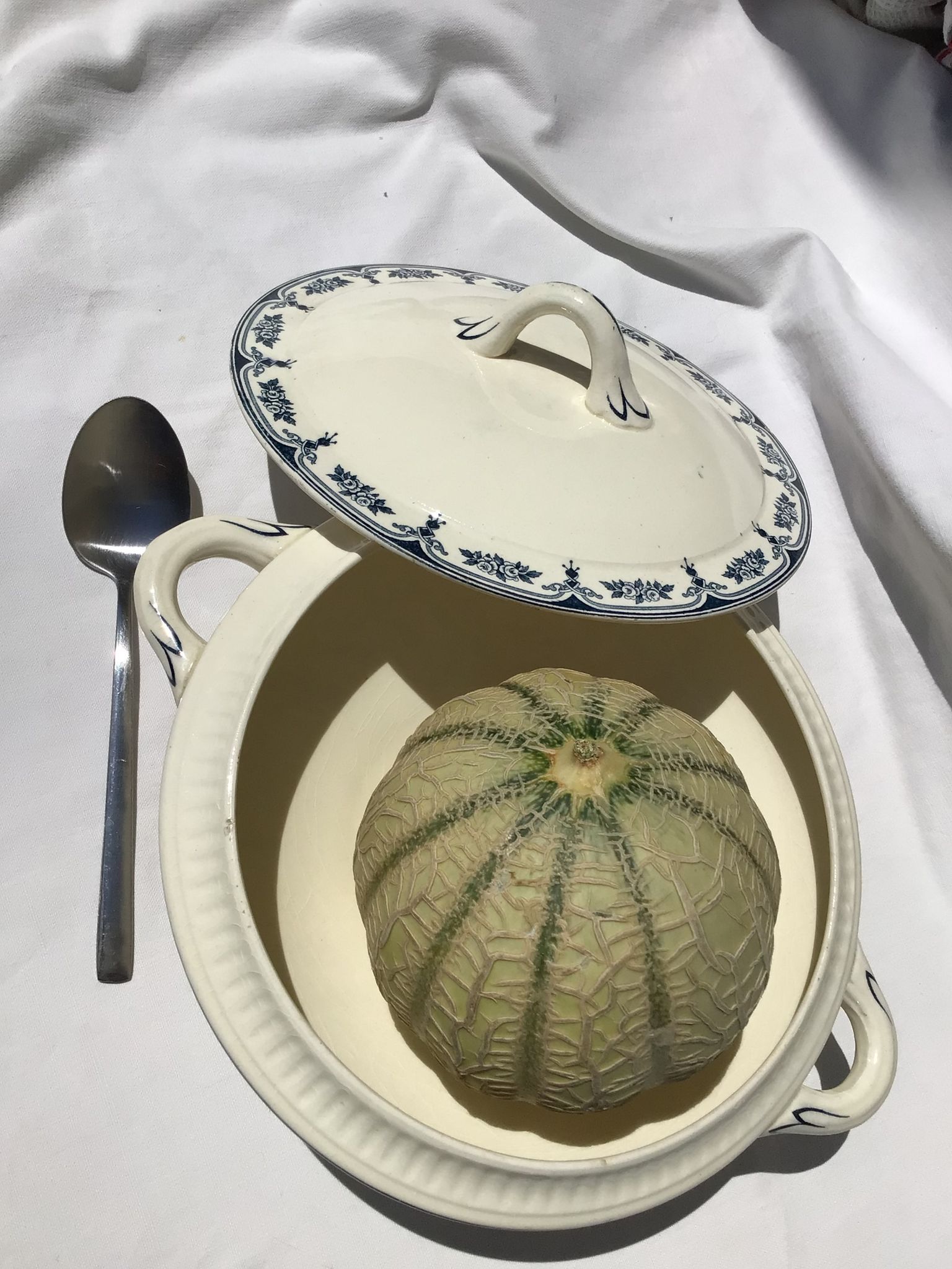 Soupière ou légumier Terre de Fer Salins Sathonay bleu marine